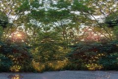 rgw_134_04