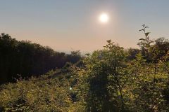 rgw_134_05