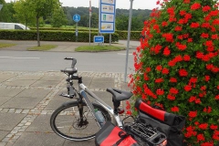 werner_03