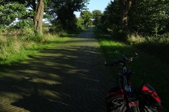 werner_11
