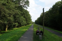werner_14
